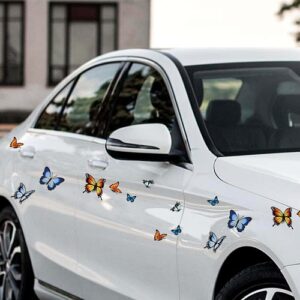 Vinyl butterfly decals for variety...