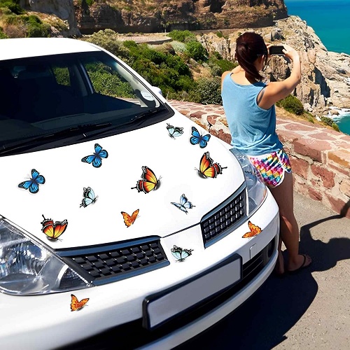Vinyl butterfly decals
