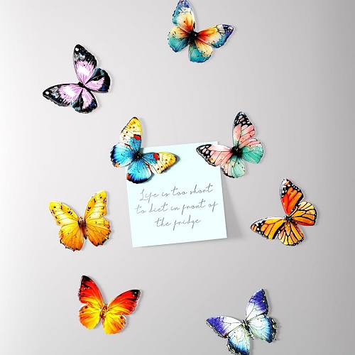 Butterfly magnets for fridge