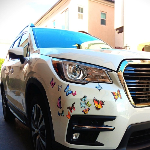 Vinyl butterfly decals