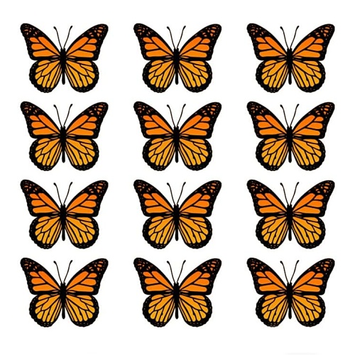Butterfly stickers decoration