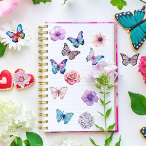 Butterfly stickers at hobby lobby