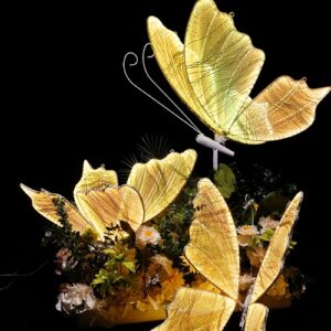 Wedding butterfly theme giant ligh...