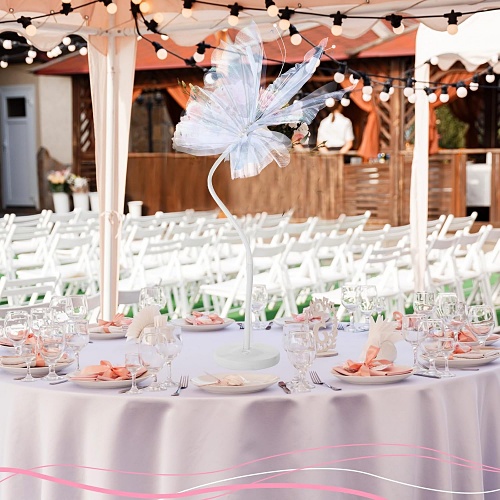 Large led butterfly light