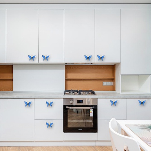 Butterfly closet door knobs