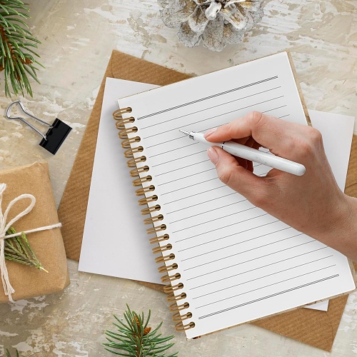 Butterfly spiral notebook