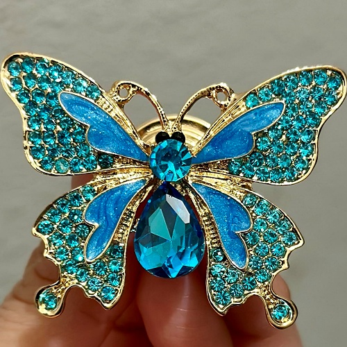 Butterfly closet door knobs