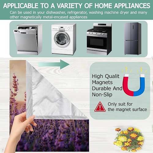 Cute butterfly decor