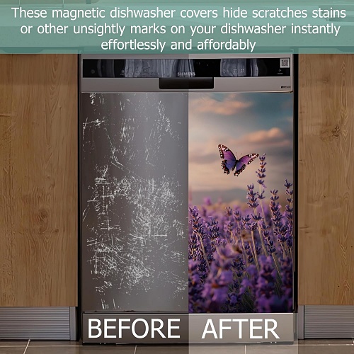 Cute butterfly decor